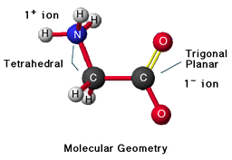 Molecular Geometry