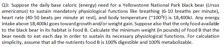 Q3 bear hibernation post 2