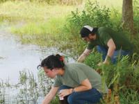 April 2018 cover of JCE