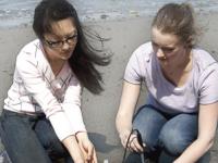 Journal of Chemical Education November 2014 Cover