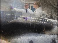 Journal of Chemical Education May 2018 Cover