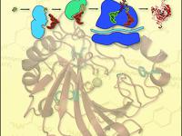 Journal of Chemical Education January 2019 Cover