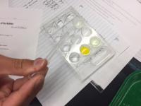 photo of student lab work