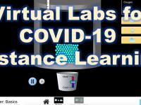 text: Virtual Labs for COVID-19: Distance Learning