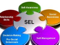 social, emotional learning in the chemistry classroom puzzle pieces