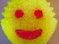 Scrub Daddy Sponge