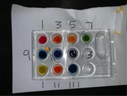 Indicator Activity - Assigning Roles for Students in the Laboratory ...