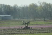 Oil pump in Illinois field