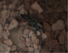 graphic #7 for discoveries 3.18