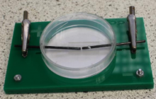 Bob Worley's electrode apparatus