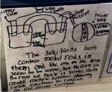 student drawing of cells before unit #2