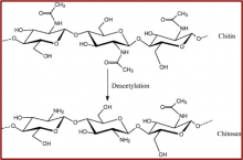 Structural Formula pf Chitosan