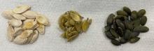 fresh, shelled fresh and commercially dried pumpkin seeds