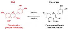 equation showing Equilibrium between anthocyanin flavylium forms and flavene-4-sulfonate “bisulfite adducts” in the presence of bisulfite ion 