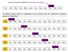 growing grapes in argentina