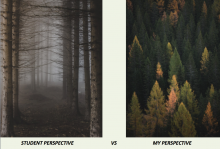 student perspective of forest on the ground vs teacher perspective from above the forest
