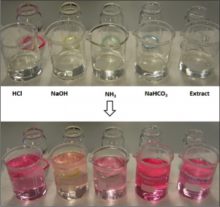 “Pinking” of decolourised red cabbage extracts on addition of 3% hydrogen peroxide