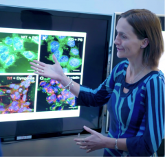 C. Allerton looking at a screen with images of molecules