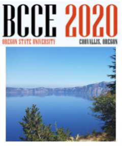 BCCE 2020