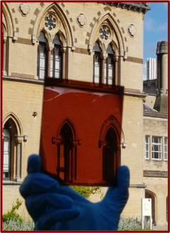 holding up film to sunlight 