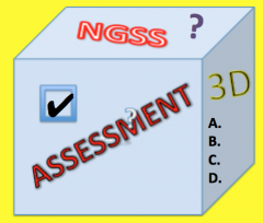 3-D assessment