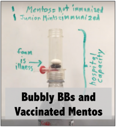 mentos & junior mint in tube before being added to bottle of Diet Coke