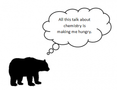 silhouette of bear on all four legs