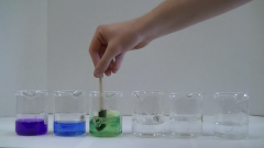 Demonstrators hand adding solution to series of beakers with a variety of solution colors
