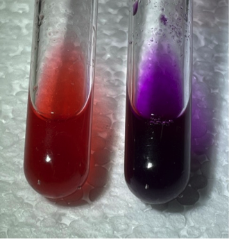 Example anthocyanin complex with tin II. L-Raspberry extract, R-extract plus tin II