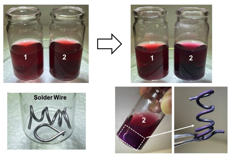 Blackberry extracts exposed to solder wire
