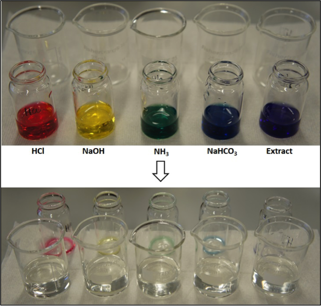 Decolourisation of red cabbage extracts (pH adjusted) on addition to 10% sodium metabisulfite solution