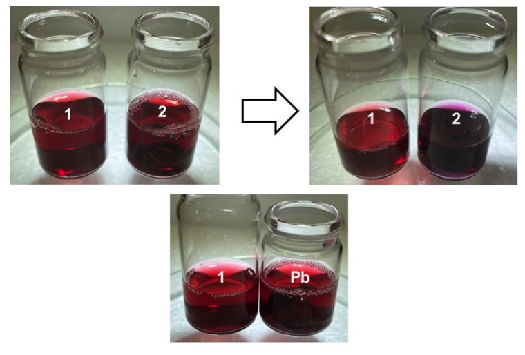 Elderberry extracts exposed to solder wire and lead metal