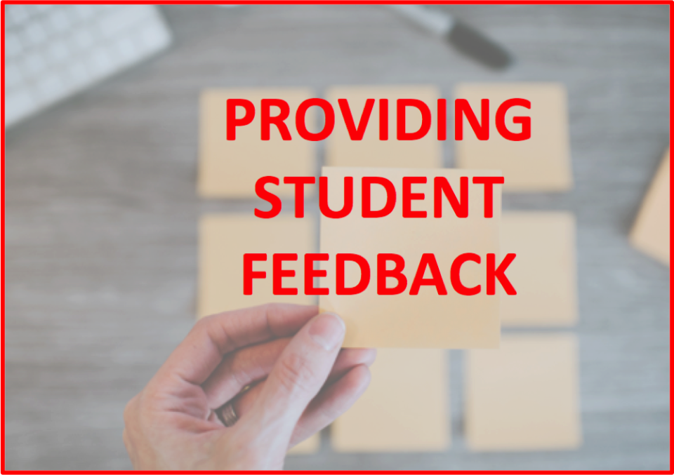 text: PROVIDING STUDENT FEEDBACK