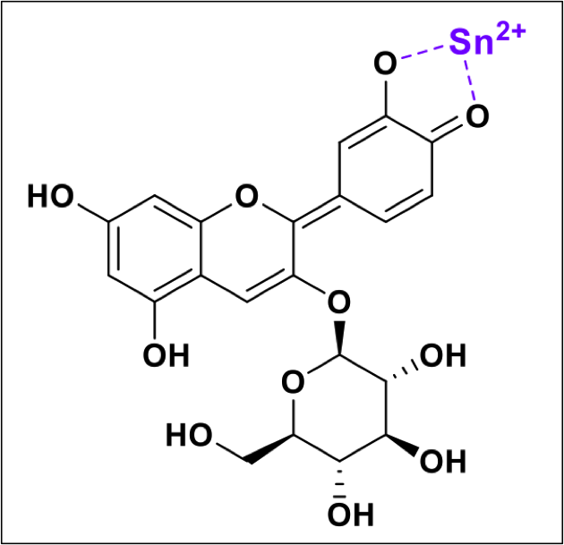 Possible binding of Sn2+ ions with cyanidin-3-O-glucoside - structural formula
