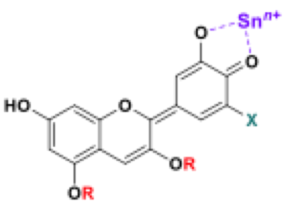 Simplified binding motif (structural formula) for anthocyanins with tin ions. 
