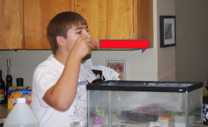 author's son blowing bubble over a fish tank