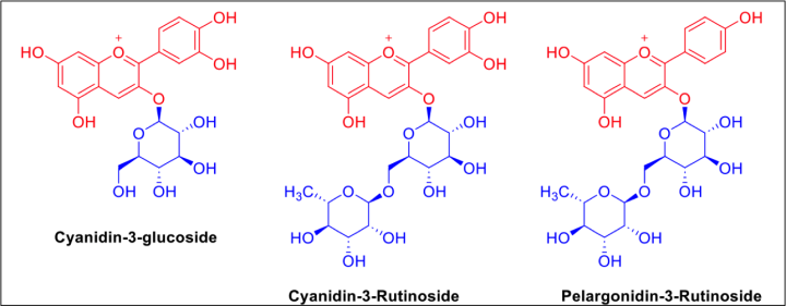 molecular structures of glycosylated anthocyanins present in raspberries and brambles