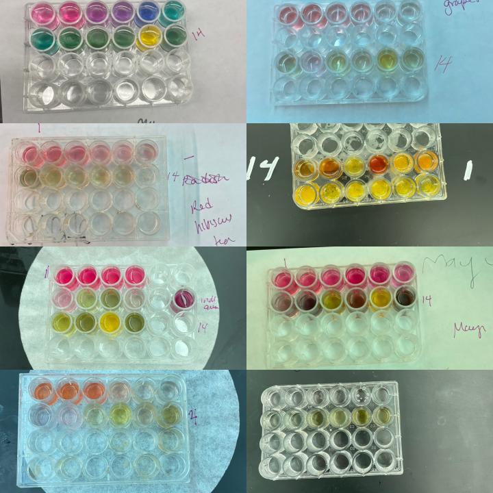 8 well plates with colorful solutions