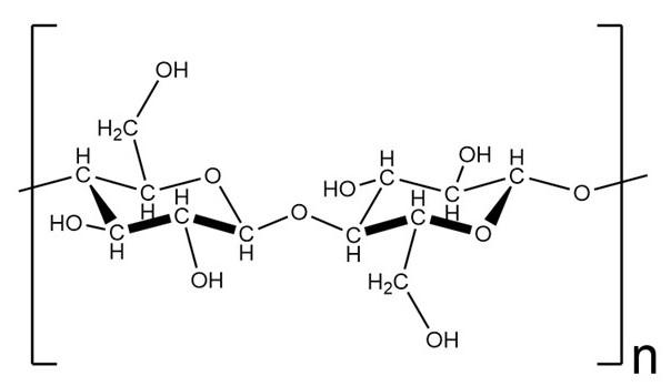 Structure of cellulose