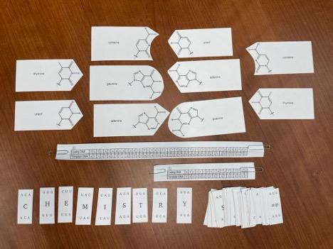 components of DNA kit