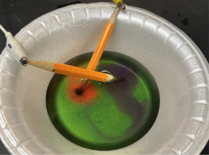 Electrolysis of water containing magnesium sulfate and universal indicator using electricity produced by a 9 V battery. 