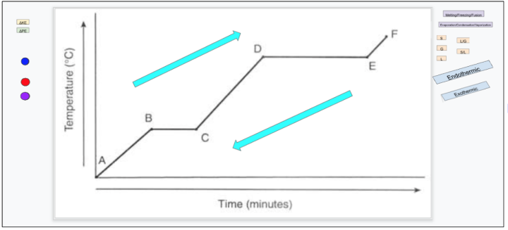 template for particulate modeling for endothermic and exothermic 