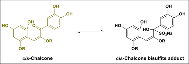 cis-Chalcone/bisulfite adduct equilibrium molecular equation