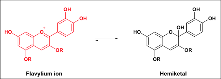cis-Chalcone/bisulfite adduct equilibrium molecular equation