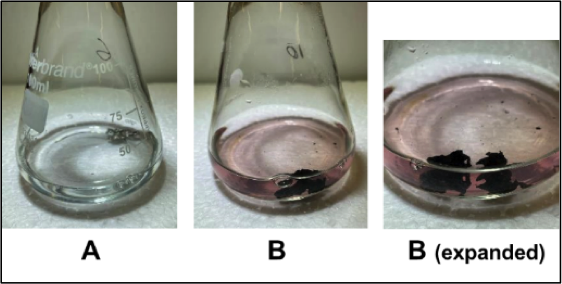Experiments with bleached red cabbage extracts
