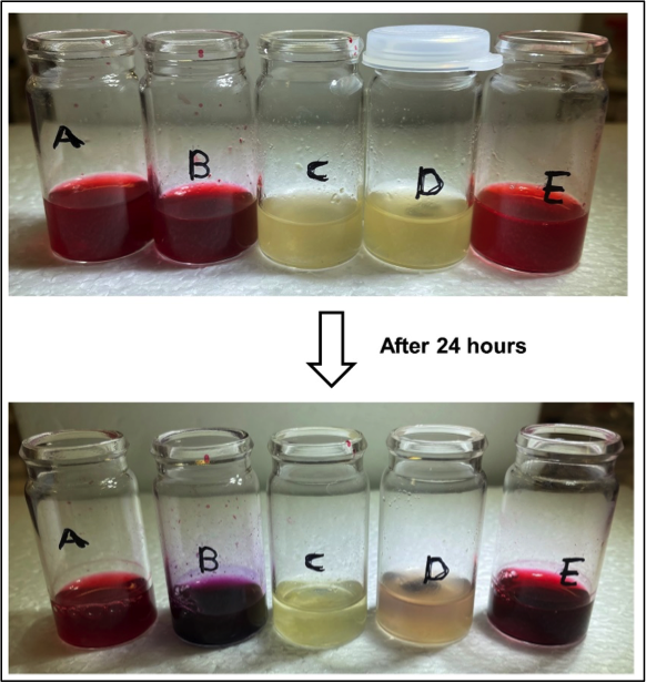 Experiments with raspberry extracts - 5 vials before and after 24 hours