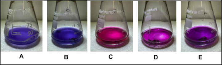 Experiments with red cabbage extracts