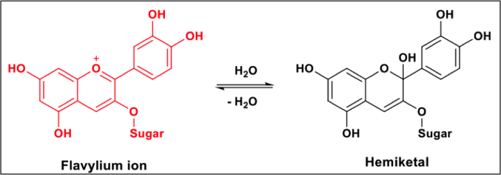 flavylium ion/hemiketal equation