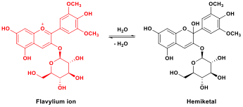Flavylium ion/hemiketal adduct equilibrium of malvidin-3-O-glucoside reaction showing structural formulas