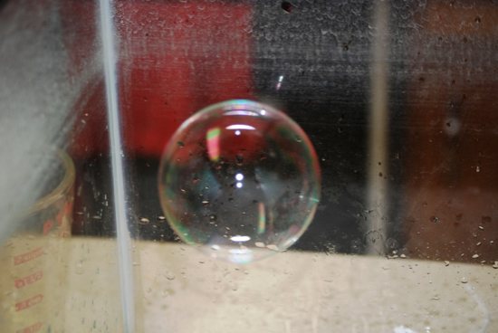 close up of bubble floating in fish tank